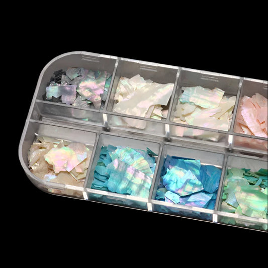 Abalone Sea Shells